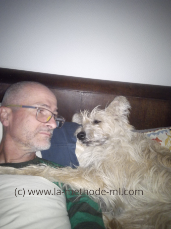 Avis methode ml educateur canin Jura