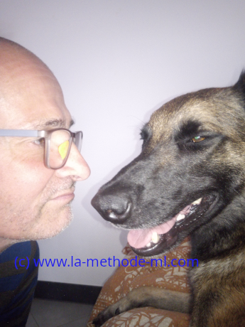 Avis methode ml educateur canin Thionville